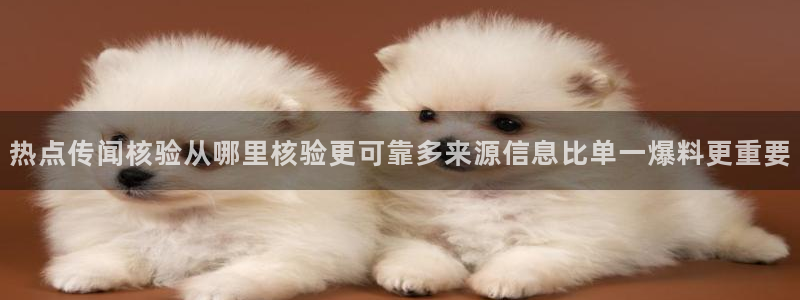51吃瓜网络热点